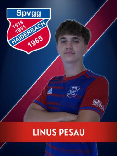Linus Pesau