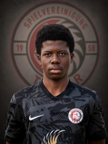 Akinfemi Harry Akinyemi