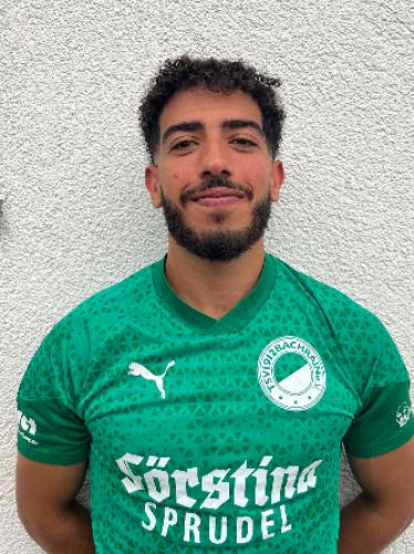 Mohamed Elsamanoudi