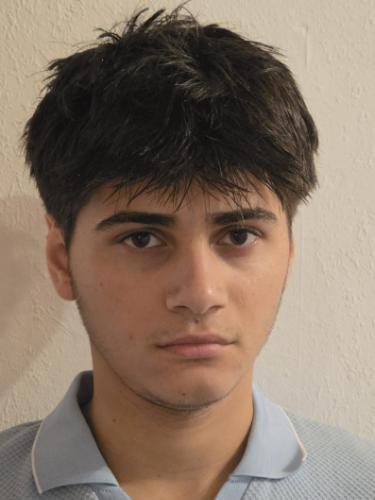 Mohamad Tahineh