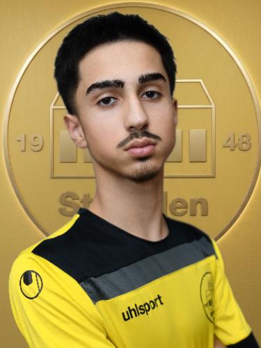 Elmedin Ademi