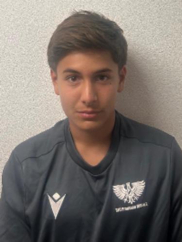 Efe Kaan Arik