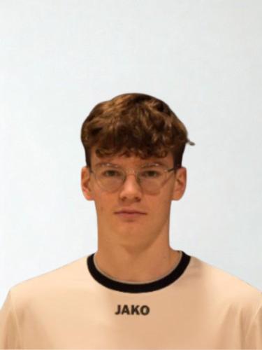 Luca Pierich
