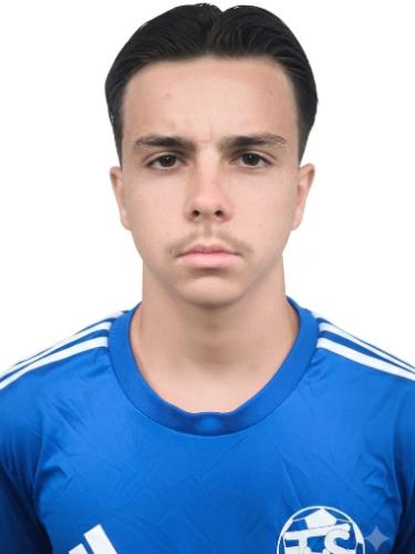 Emir Becic
