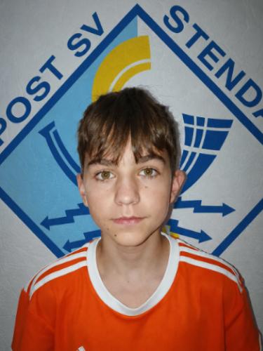 Nolan Männche