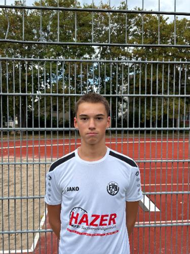 Theo Hammer