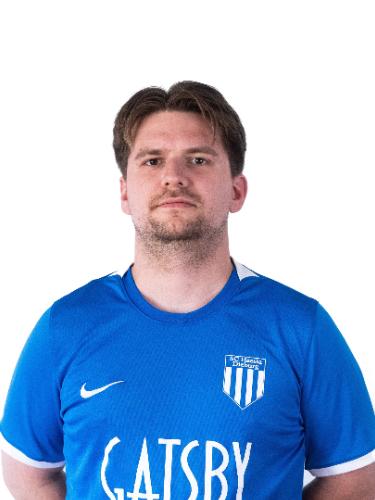 Dzenis Mujevic