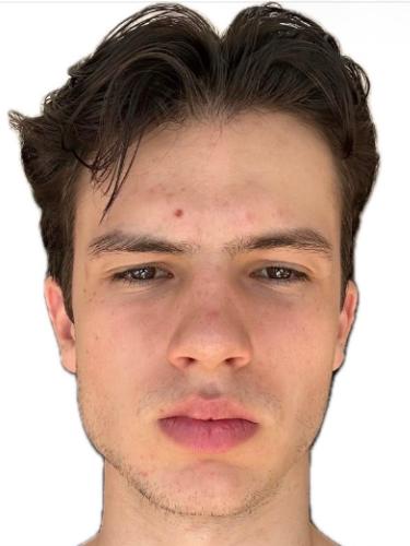 Mika Heinz