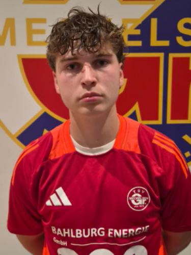 Luiz Heinzel