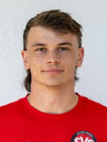 Leon Philipp Stibitz