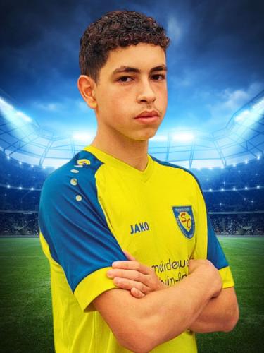 Hadi Abd Al Naser