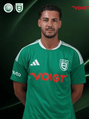 Mohamed Rabia