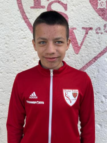 Lion Biedermann