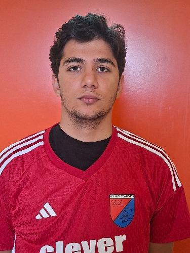 Mohamed Abdul Moustafa