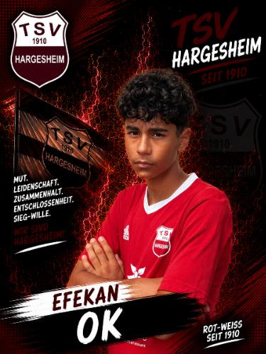 Efekan Ok