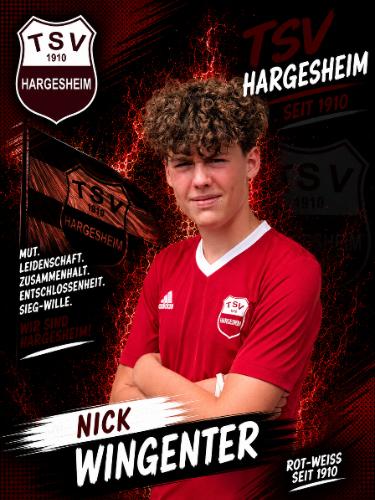 Nick Wingenter