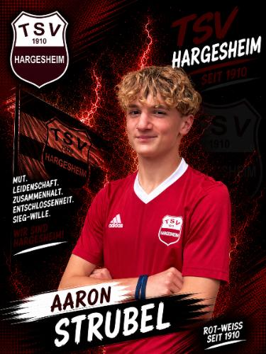 Aaron Strubel