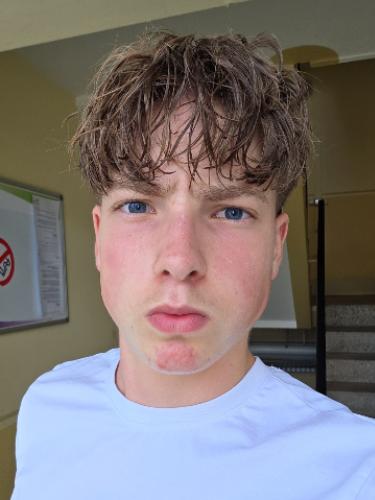 Nico Wiedow