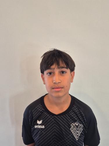 Mehran Nikzad