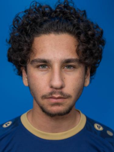Levin Erdal