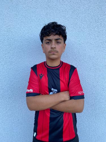 Milan Defli