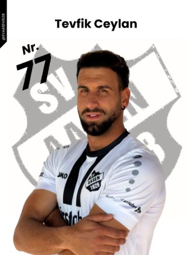 Tevfik Ceylan