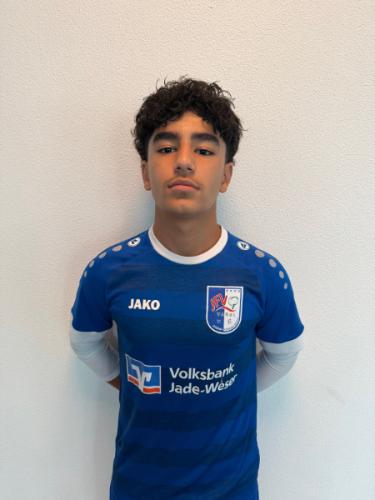 Arsam Homayouni