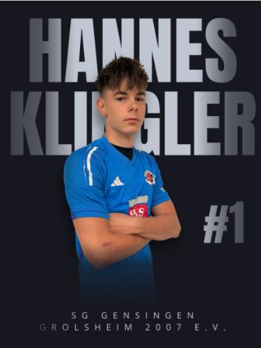 Hannes Klingler