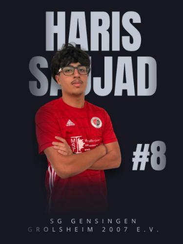 Haris Sajjad