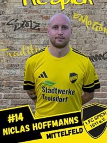Niclas Hoffmans