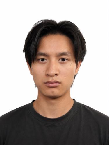Dinh-Trung Ho