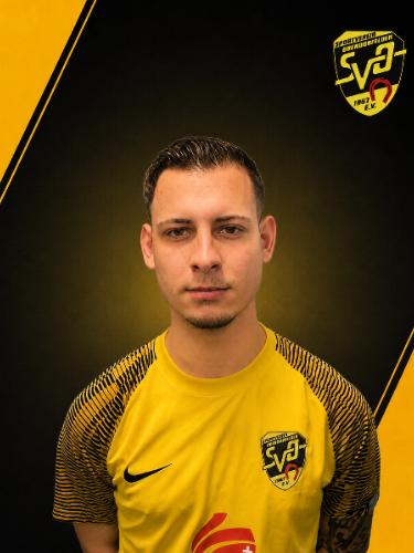 Zdravko Vrdoljak