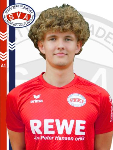 Justin Schmidt