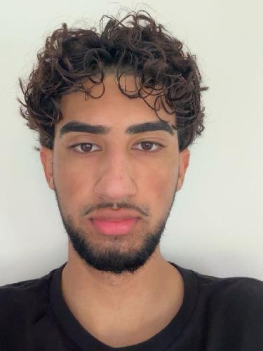 Anoush Sani