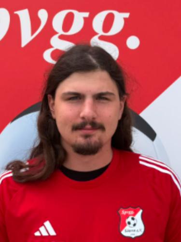 Theo Töttel
