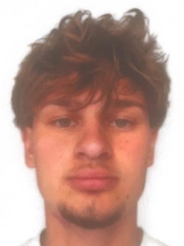 Linus Feuer