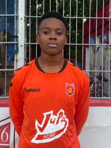 Joel Sylvester Dapaah