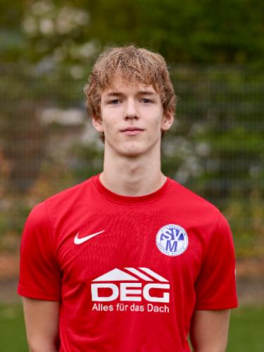 Hannes Ludwig