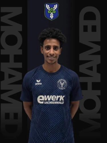 Hamza Abdelazim Mohamed Ahmed Mohamed
