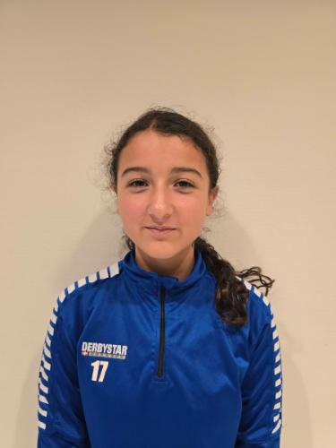 Hazal Arife Nihal Bicer