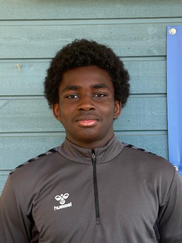 Maximillian Ekene Okoye