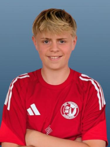 Arnd Blümel