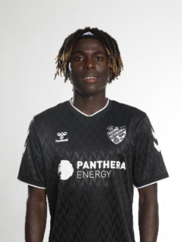 Segun Steven Adedeji