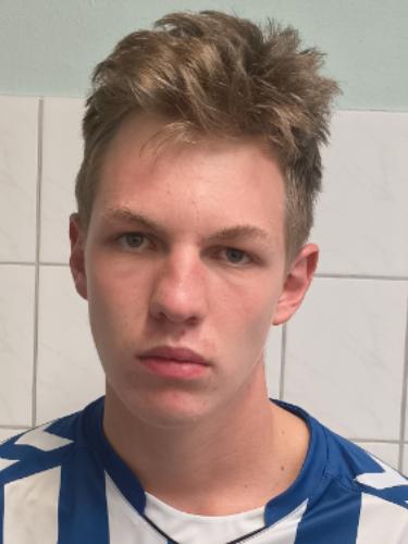 Helge Ulverich