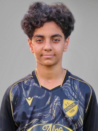 Ali Gamal Ali Soliman Mohamed