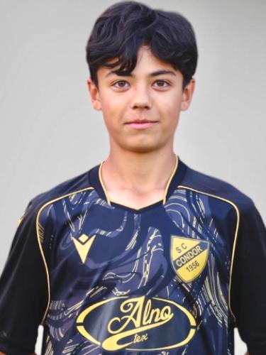 Milan Felix Schneekloth