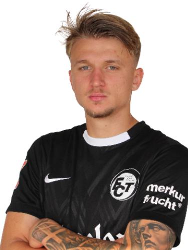 Raul-Florian Gogonea