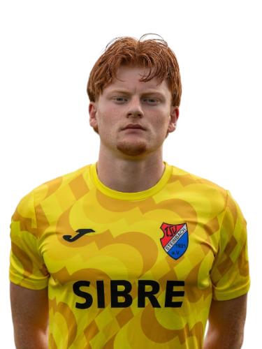 Luis Karl