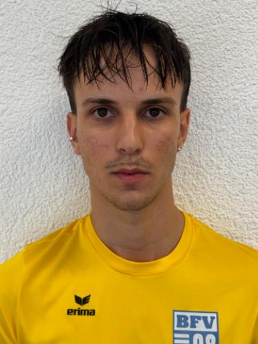 Alem Torlakovic