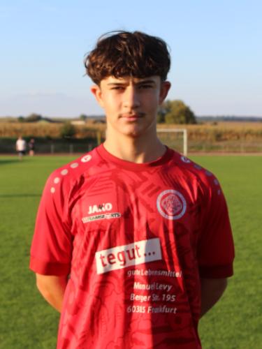 Younes Radaideh
